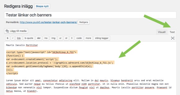 Välj text-fliken och klistra in annonskoden i texten.
